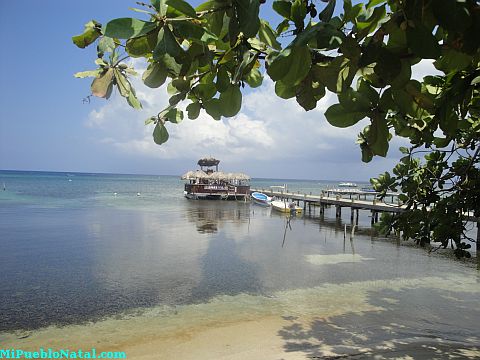 west bay beach roatan
