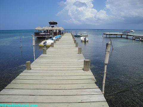 Cannibal Cafe Roatan