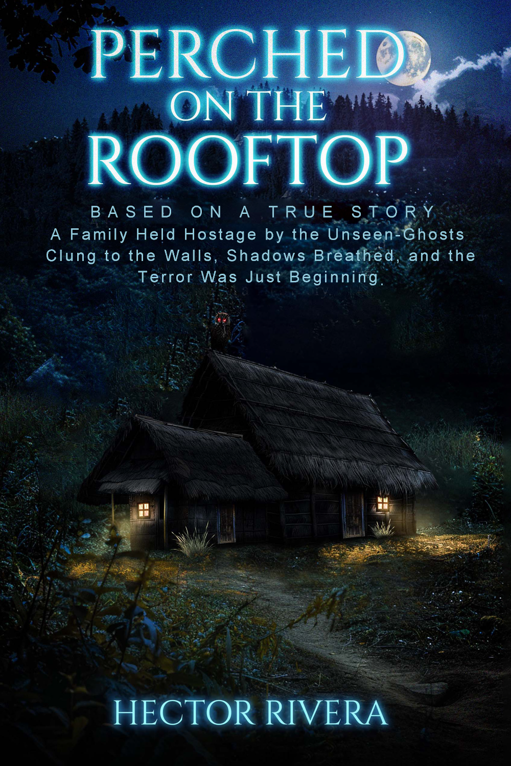 Perched on the Rooftop