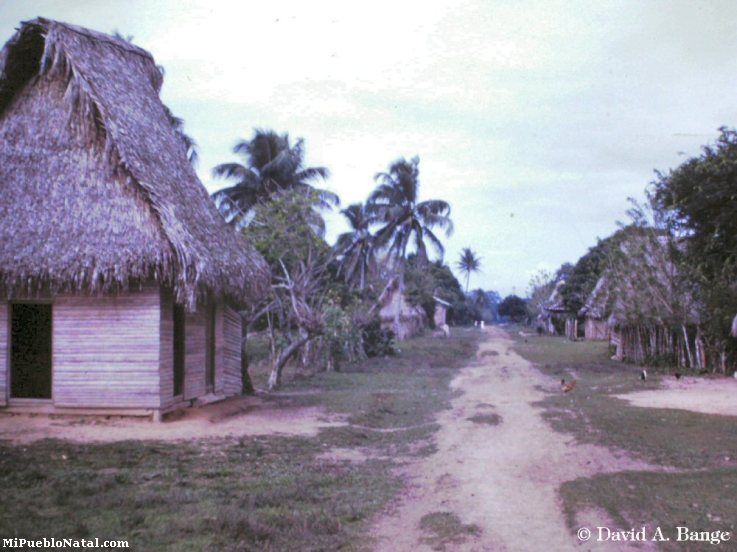 El Cabildo 1961