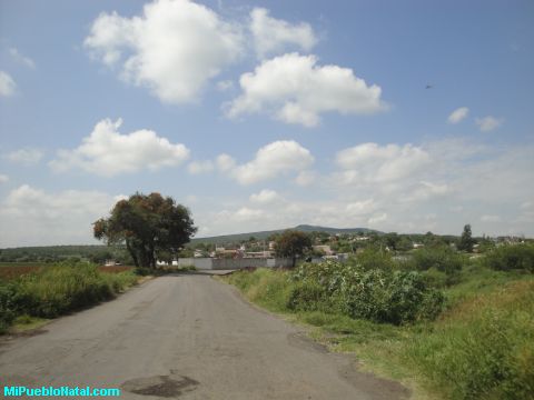 Paralta Huanimar Paralta Huanimar