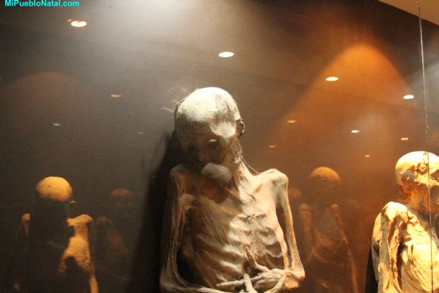 Guanajuato Mummy