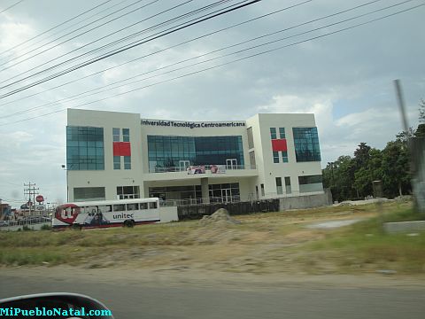 La ceiba