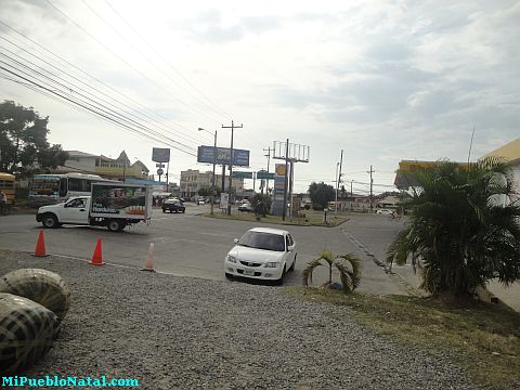 La ceiba