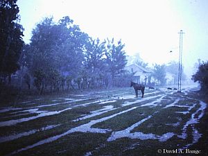 Lluvia torencial en Tocoa