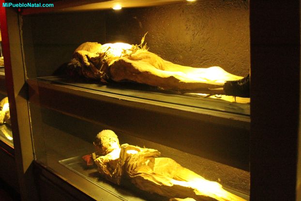 mummy case pictures