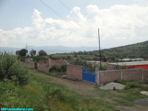 Orilla de Otate Orilla de Otate