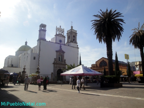 Penjamo uanajuato