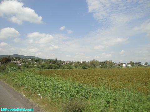 Peralta Guanajuat Peralta Guanajuat