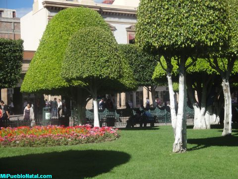 La Plaza de Leon