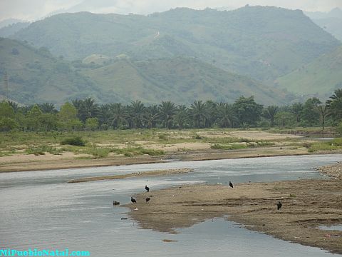 Tocoa rio