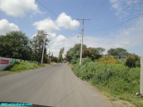 Peralta Mexic Peralta Mexic