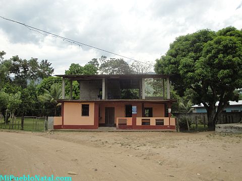 Taujica Honduras