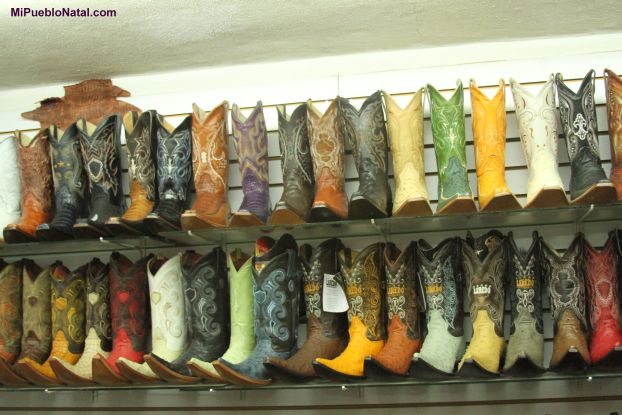 Botas de Leon